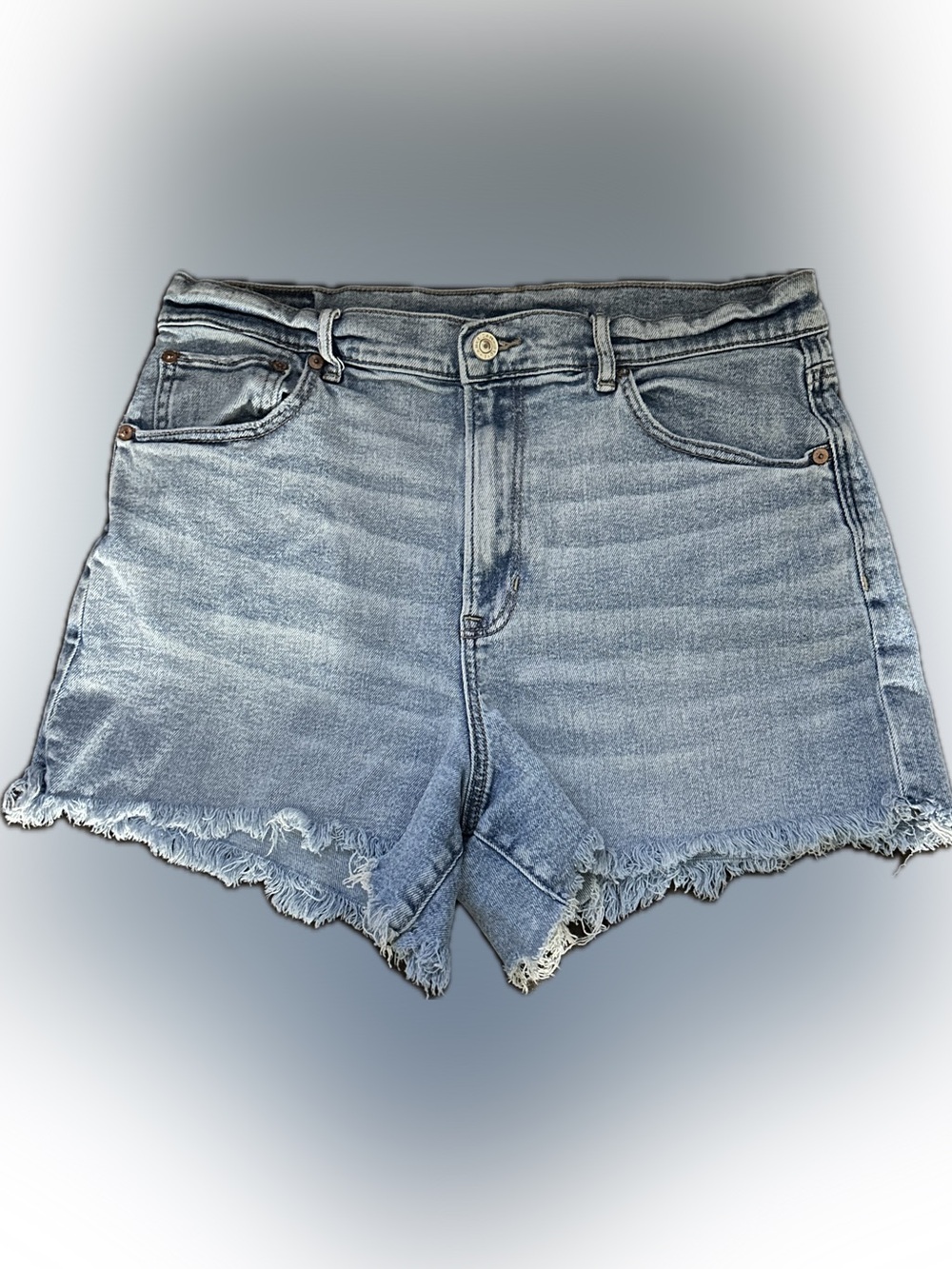 American Eagle Outfitters Light Blue Denim Shorts